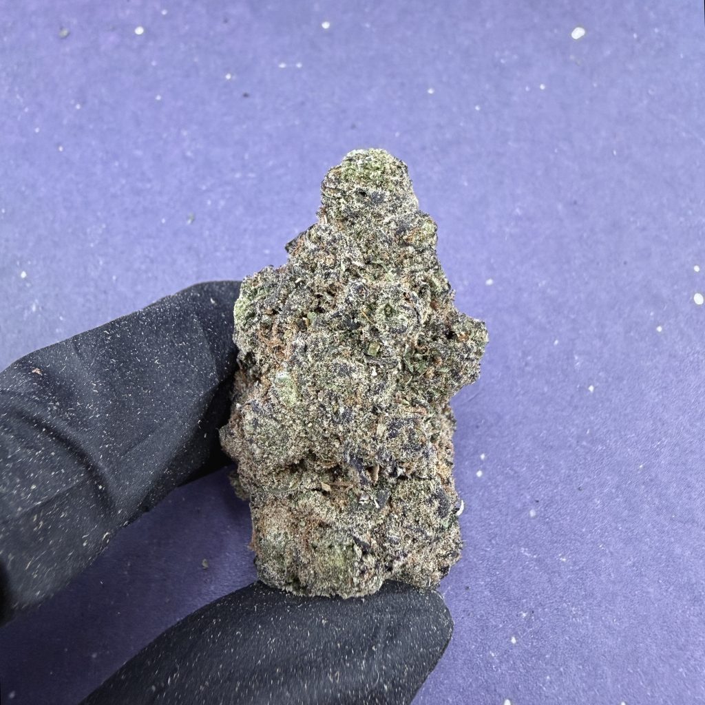 B16 LA Gelato